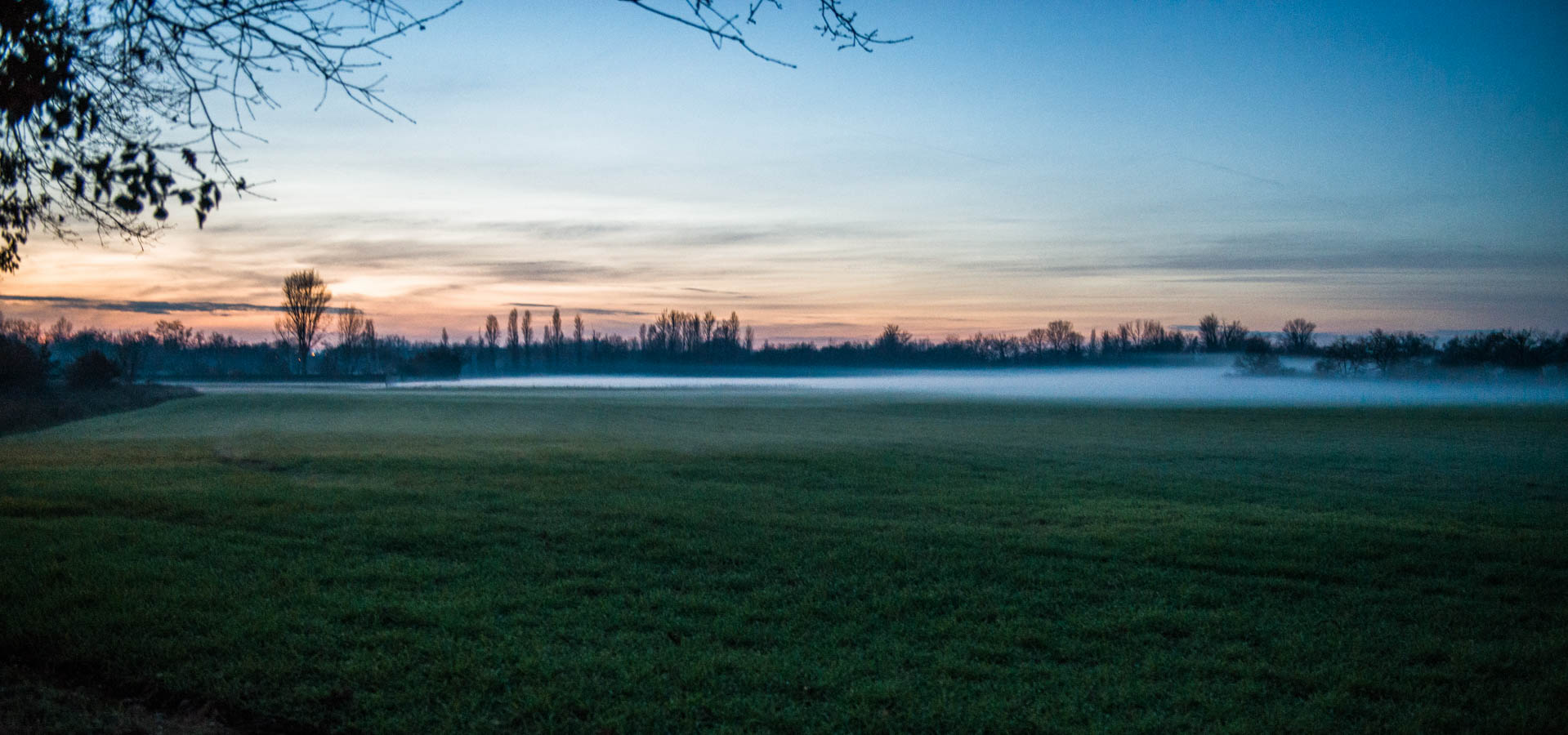 Brouillard sur un champ au Fauga, à l'aube.