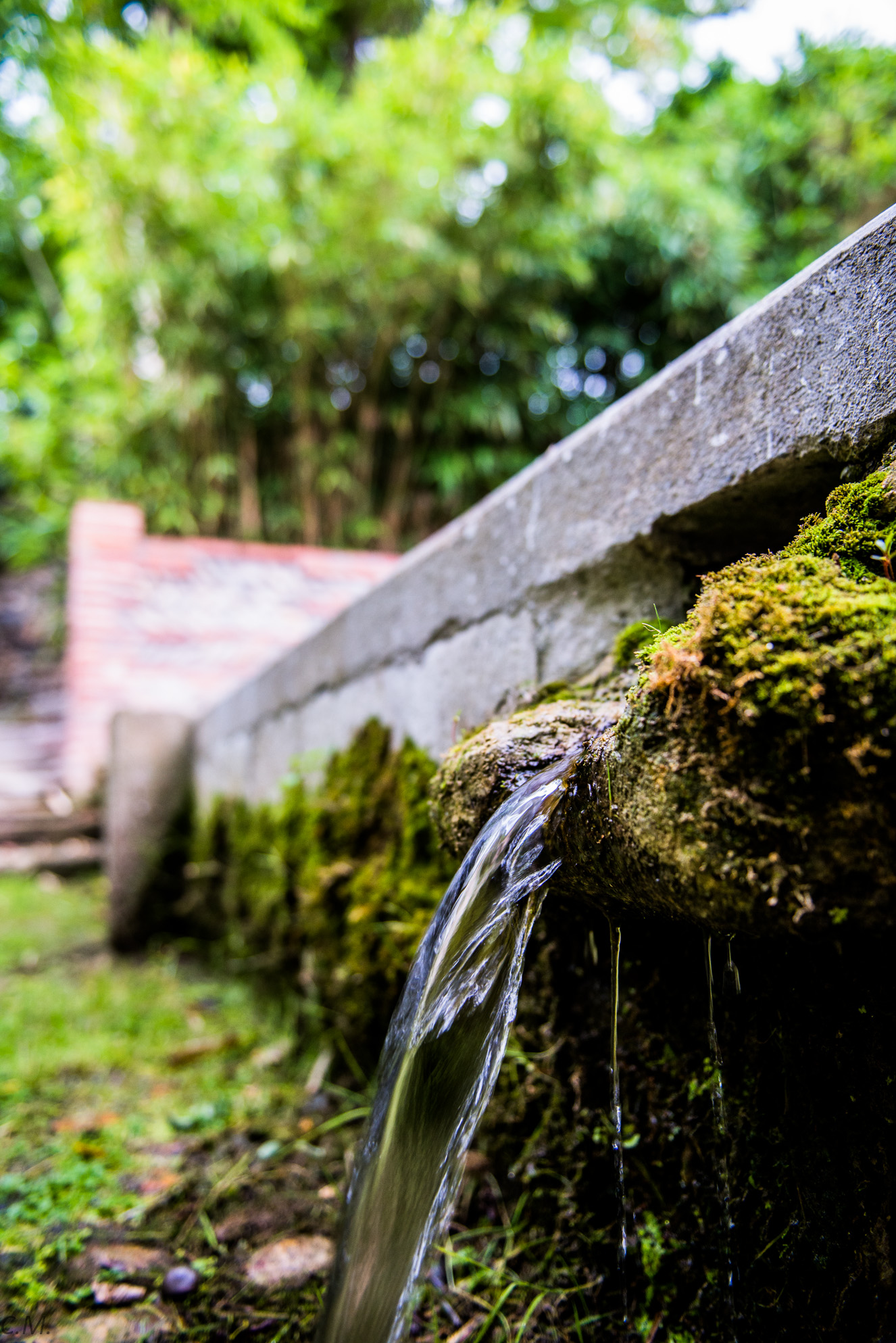 Le lavoir de l'église